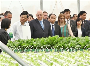 Thừa Thiên - Huế: Tái cơ cấu nông nghiệp gắn liền với xây dựng NTM