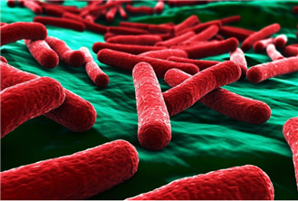 Vật liệu tiêu diệt vi khuẩn E.coli trong 30 giây được phát minh
