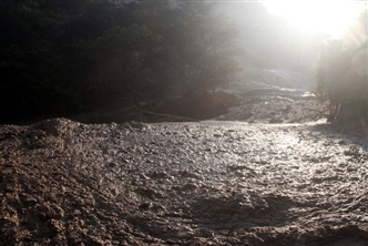 Độc đáo: Xác định nước nhiễm thủy ngân bằng Điện Thoại Di Động