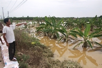 5 khu vực Hà Nội và các vùng lân cận có nguy cơ úng cao trong ngập lụt
